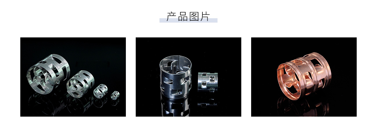 金屬鮑爾環(huán)1300_05.jpg