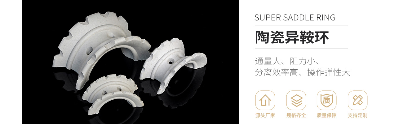 陶瓷異鞍環(huán)1300_01.jpg