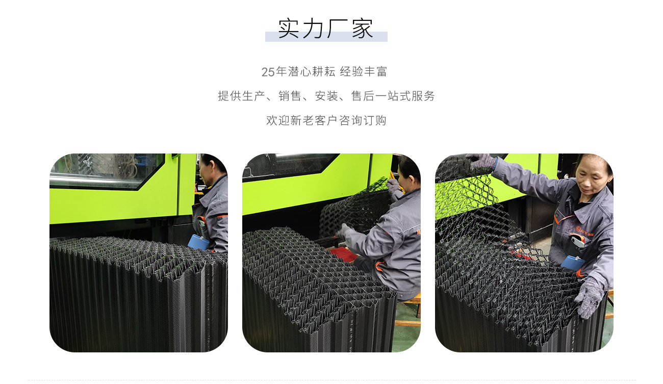 除臭水蓮.png